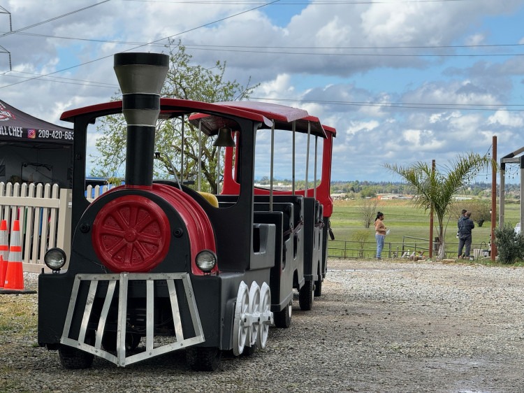 Train